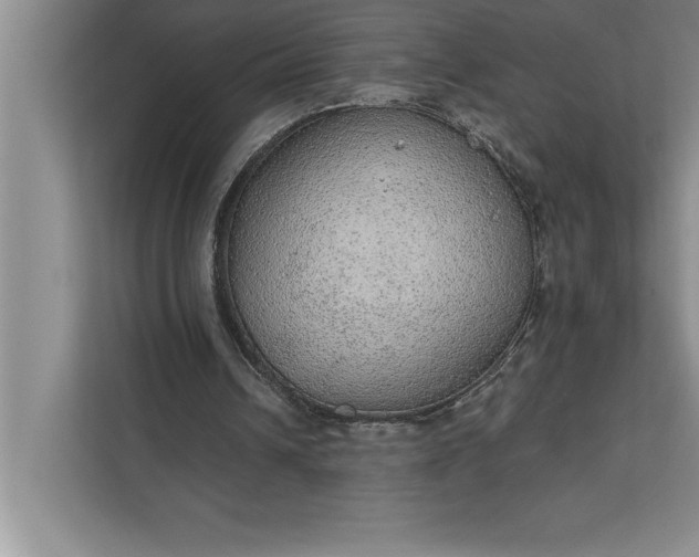 X0000112380242200908271325