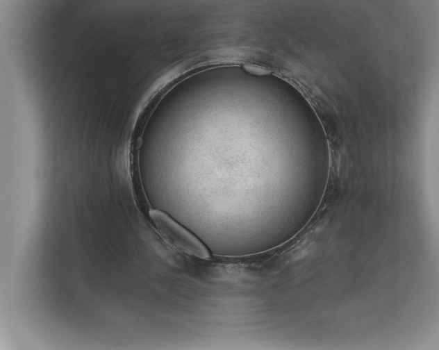 X0000112380244200908271325