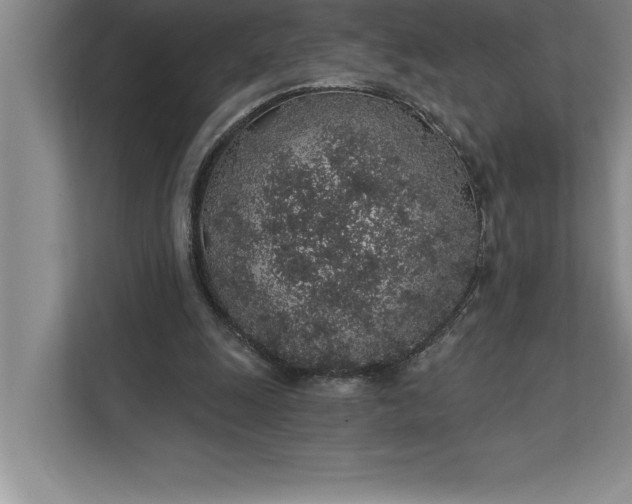 X0000112380247200908271325