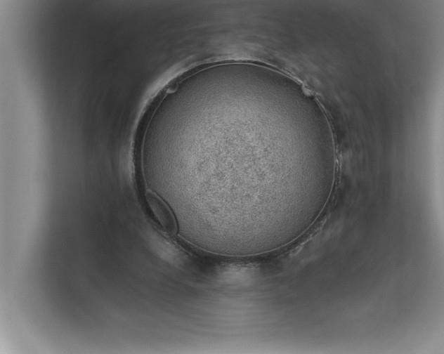 X0000112380248200908271325