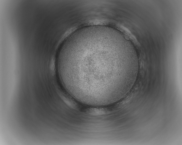 X0000112380250200908271325