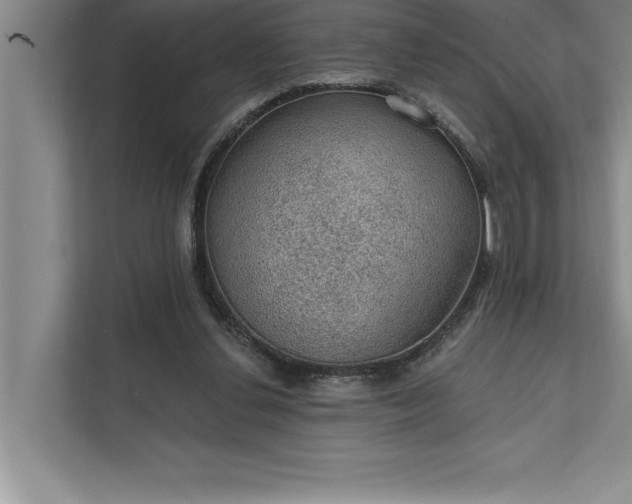 X0000112380252200908271325