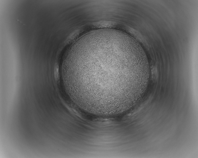 X0000112380254200908271325