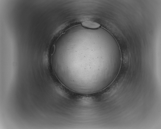 X0000112380256200908271325