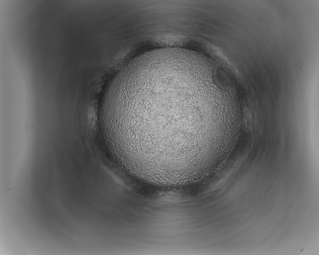 X0000112380259200908271325