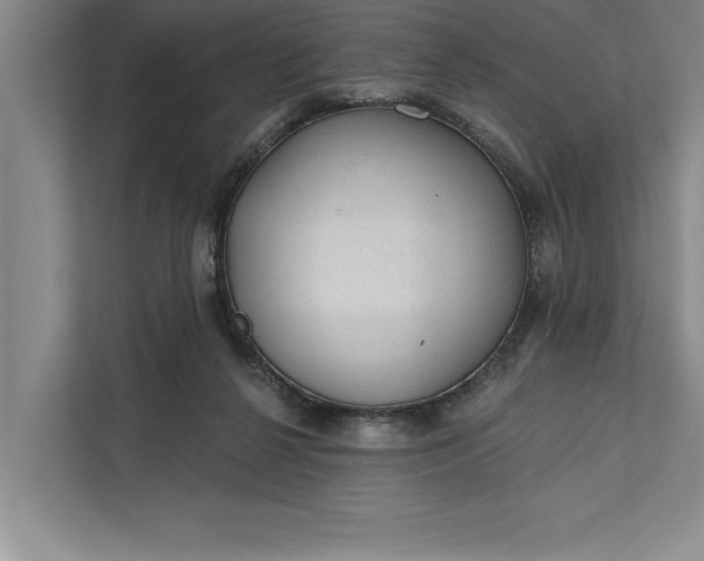 X0000112380264200908271325