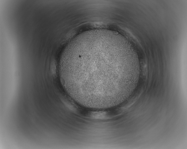 X0000112380266200908271325