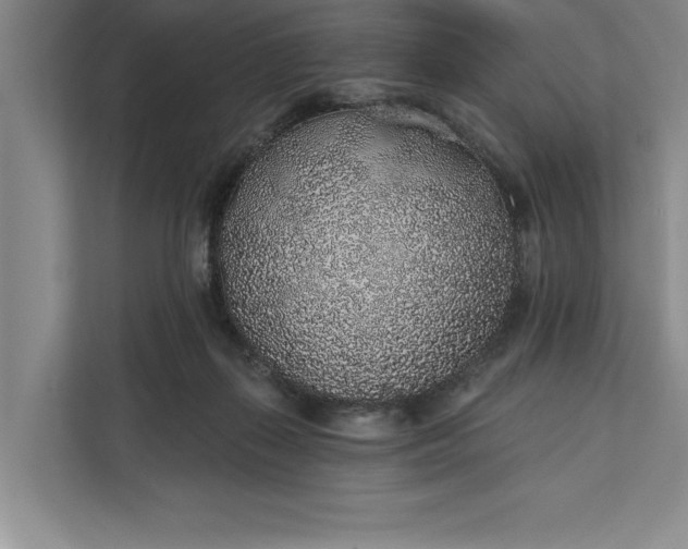 X0000112380267200908271325