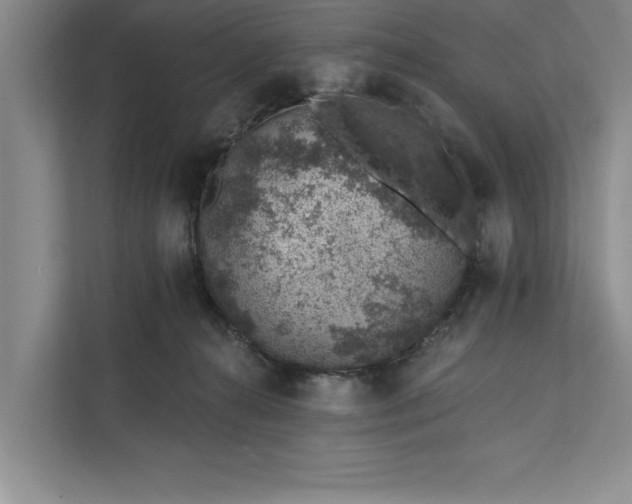 X0000112380272200908271326