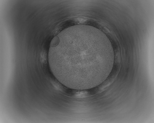 X0000112380274200908271326