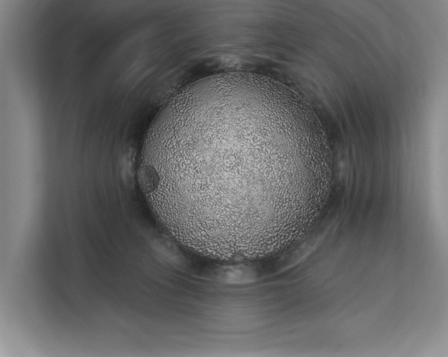 X0000112380275200908271326