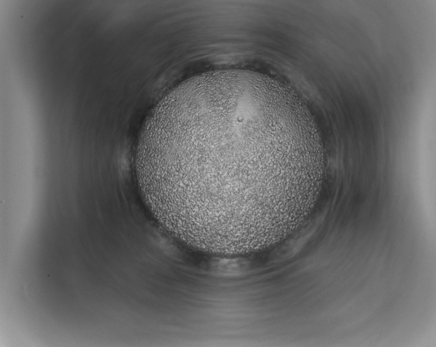 X0000112380277200908271326