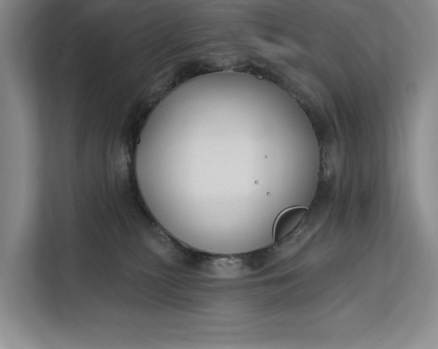 X0000112380279200908271326