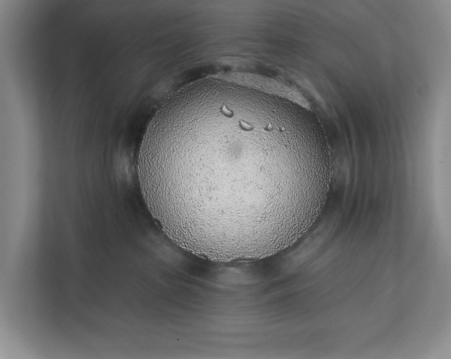 X0000112380285200908271326