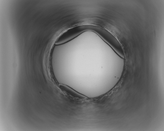 X0000112380289200908271325