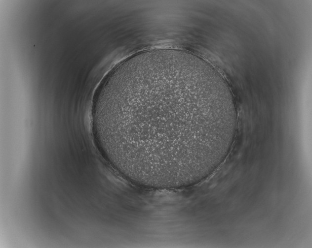 X0000112380290200908271325