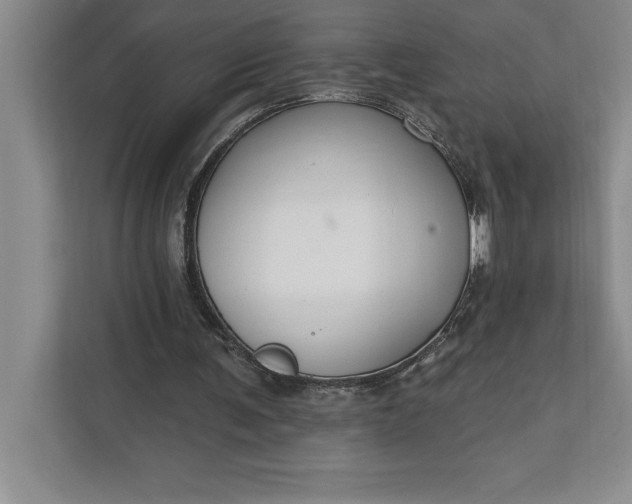 X0000112380291200908271325