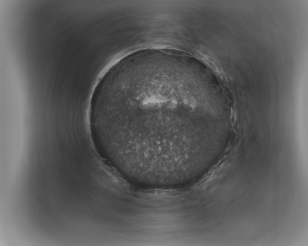 X0000112380292200908271325