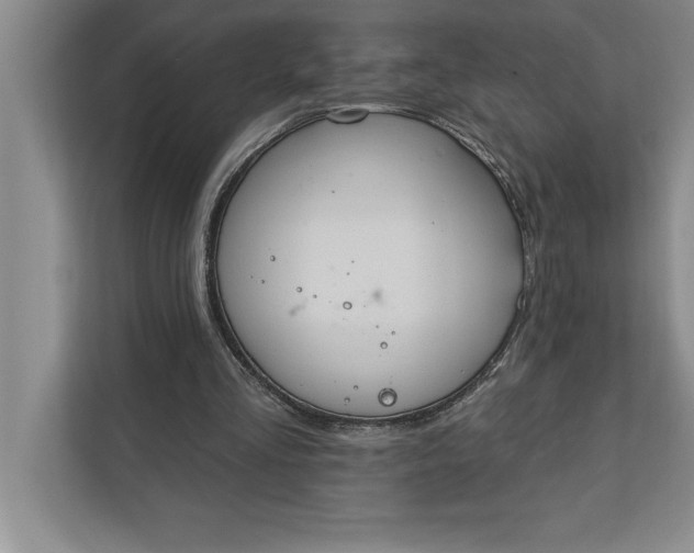 X0000112380293200908271325