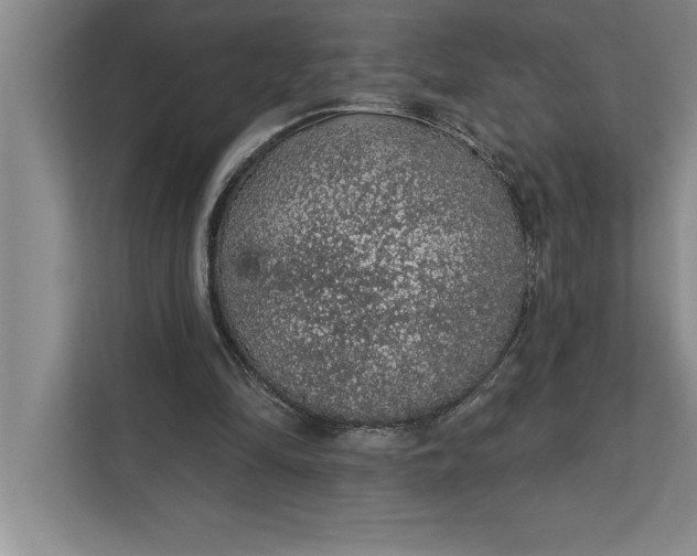 X0000112380294200908271325