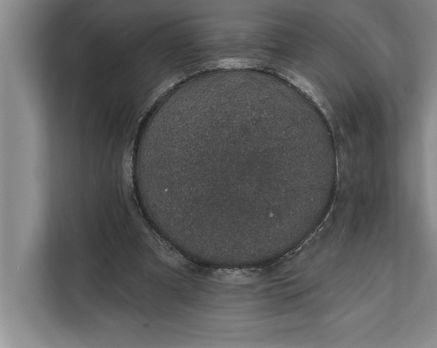 X0000112380297200908271325