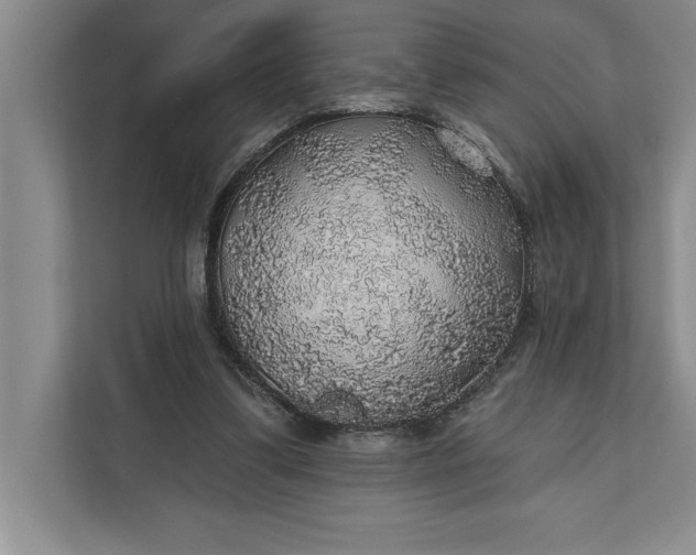 X0000112380299200908271325