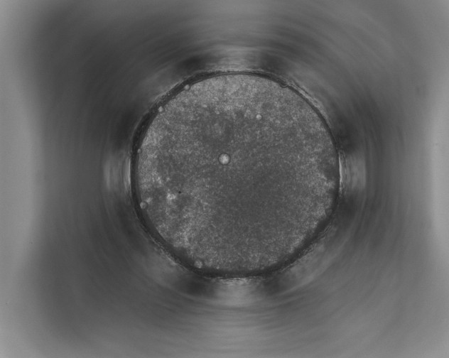 X0000112380301200908271325