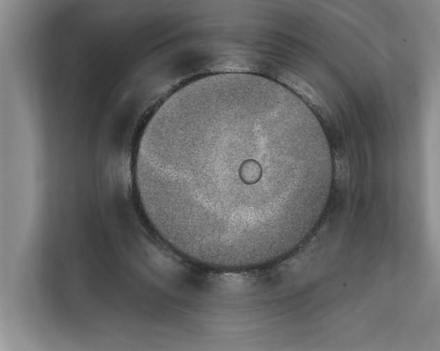 X0000112380302200908271325