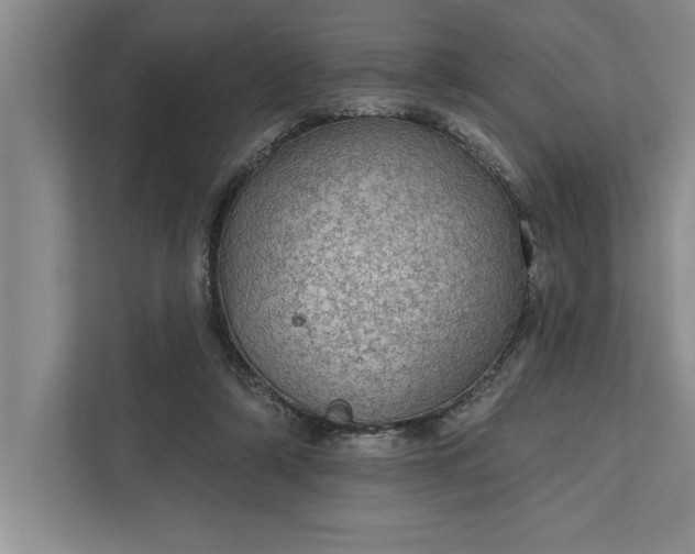 X0000112380306200908271325