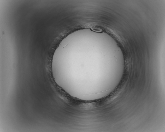 X0000112380307200908271325