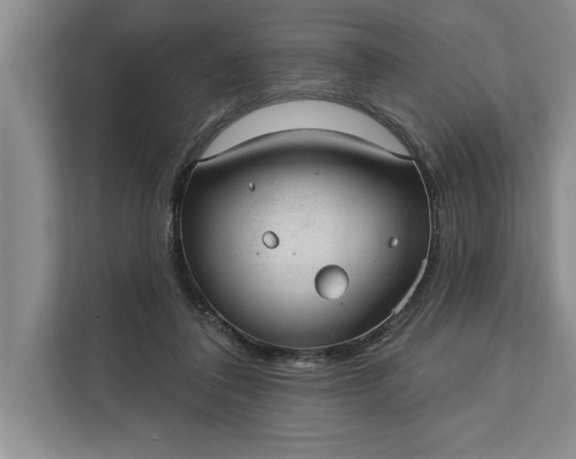 X0000112380308200908271325