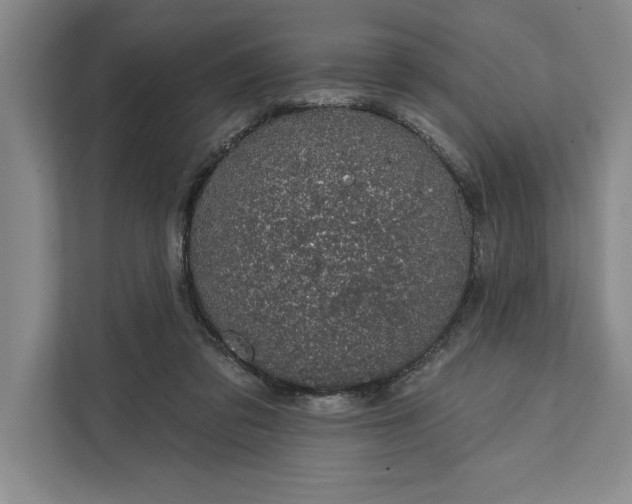 X0000112380309200908271325