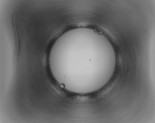 X0000112380311200908271325