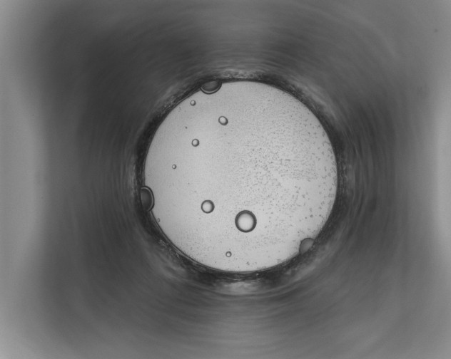 X0000112380312200908271325