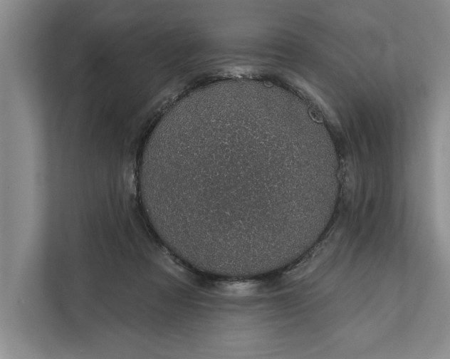 X0000112380313200908271325