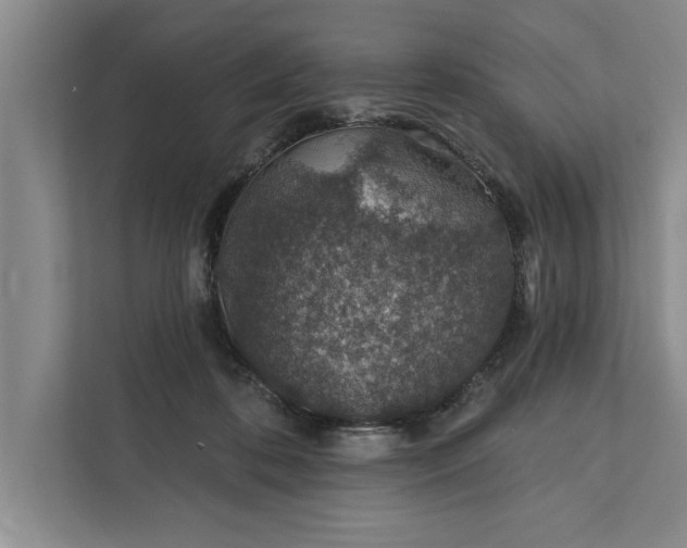 X0000112380316200908271325