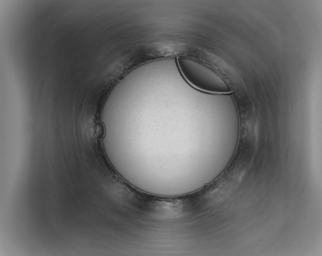 X0000112380317200908271325