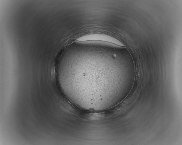 X0000112380320200908271325