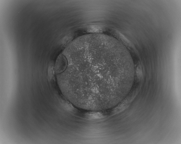 X0000112380322200908271325