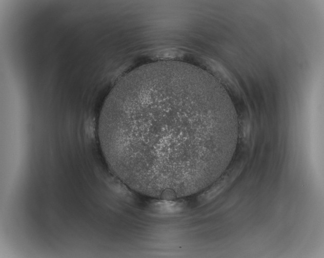 X0000112380326200908271325