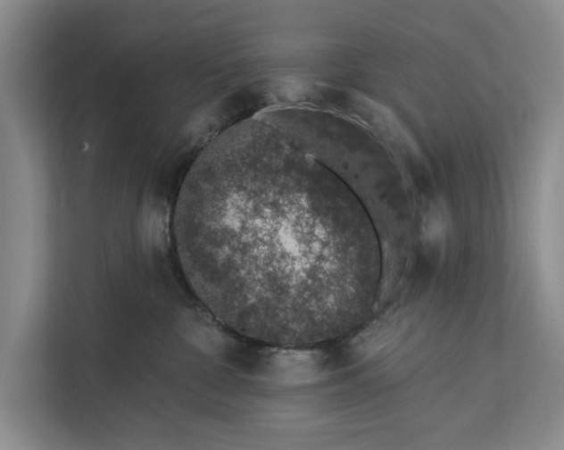 X0000112380332200908271325