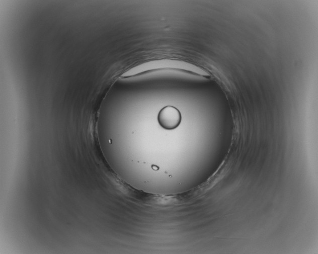 X0000112380333200908271325