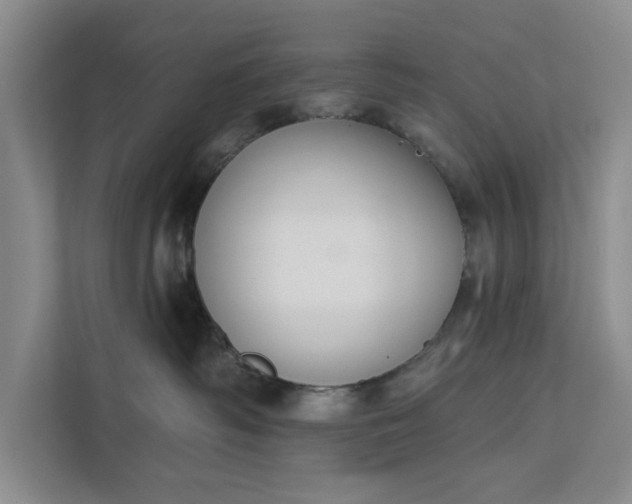 X0000112380334200908271325