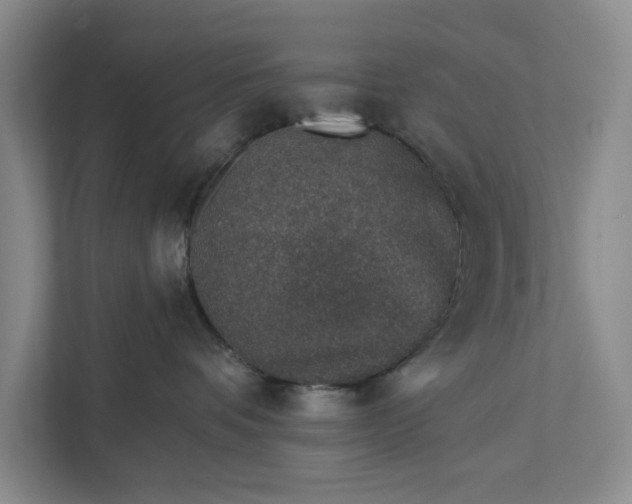 X0000112380336200908271325