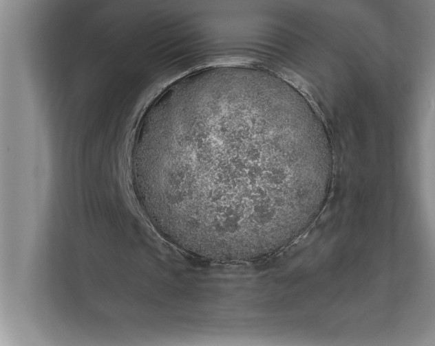 X0000112380337200908271324