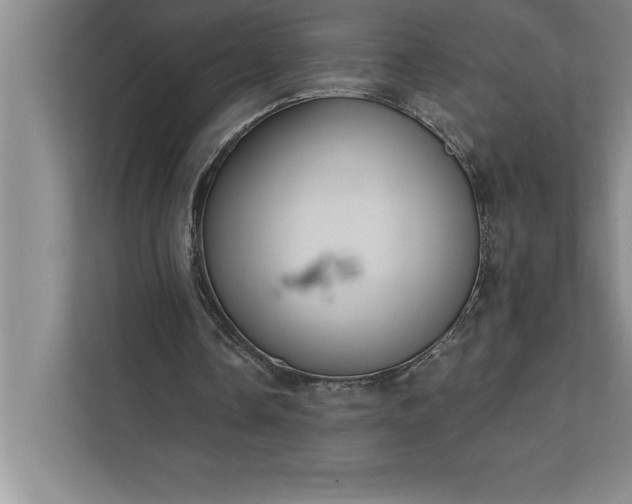 X0000112380338200908271324