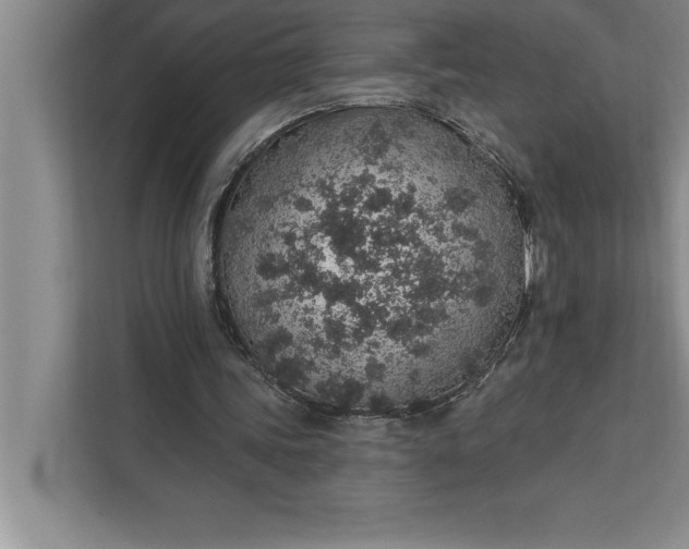 X0000112380339200908271324