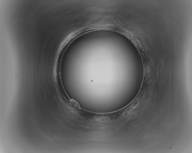 X0000112380340200908271324