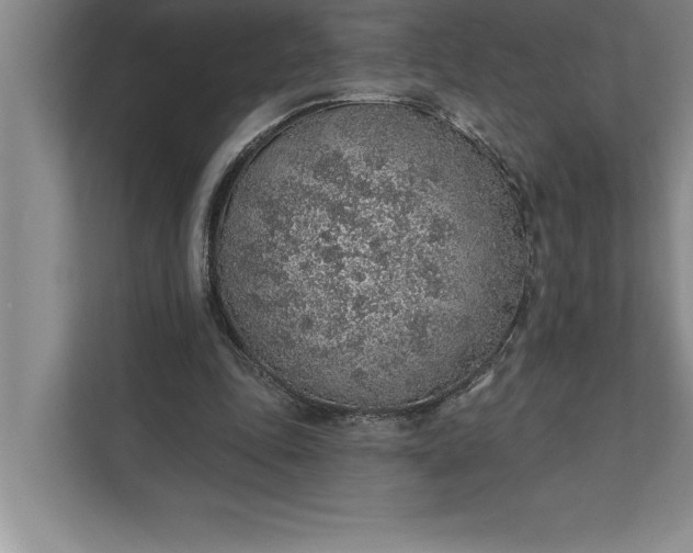 X0000112380343200908271324