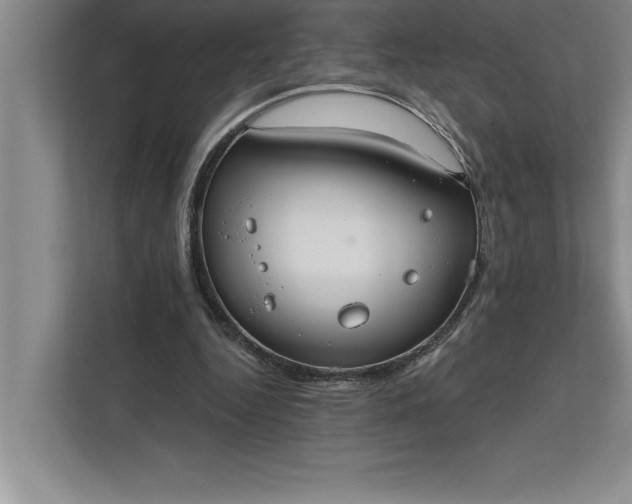 X0000112380344200908271324